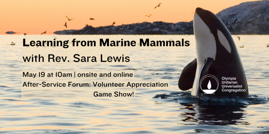 "Learning from Marine Mammals" with Rev. Sara Lewis. May 19 at 10am | onsite and online. After-Service Forum: Volunteer Appreciation Game Show!